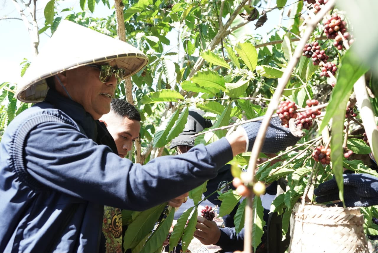 Bupati Jarot Dorong Kopi Batulanteh Tembus Pasar Nasional hingga Internasional